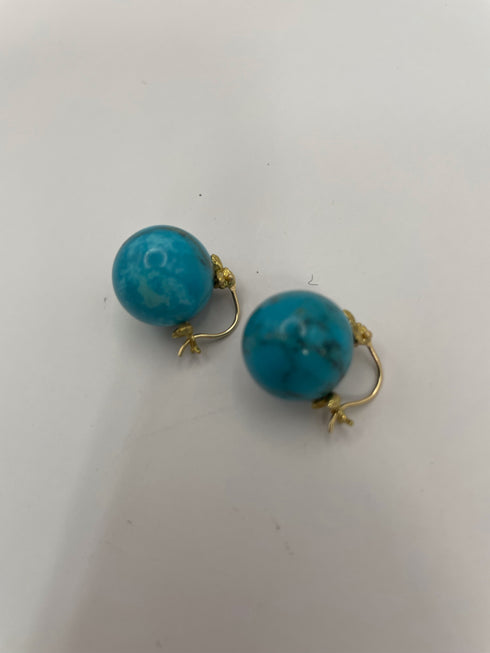 Turquoise Flyer Earrings